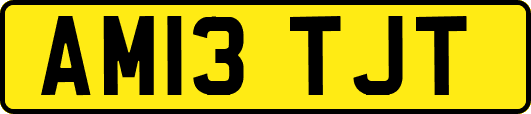AM13TJT