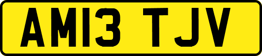 AM13TJV