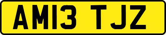 AM13TJZ