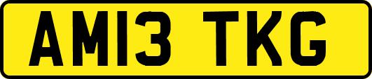 AM13TKG