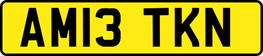 AM13TKN