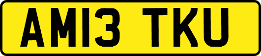 AM13TKU