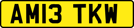 AM13TKW
