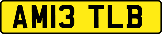 AM13TLB
