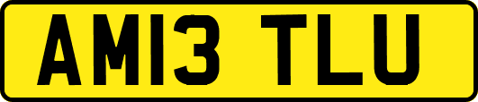 AM13TLU