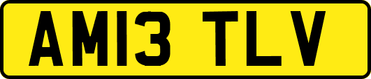 AM13TLV