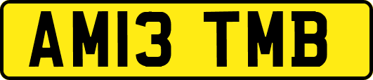 AM13TMB
