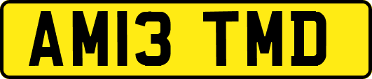 AM13TMD