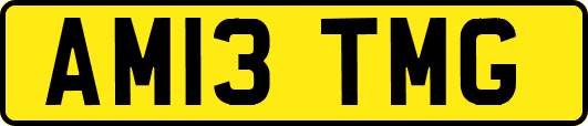 AM13TMG
