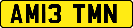 AM13TMN