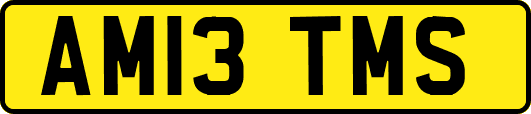 AM13TMS
