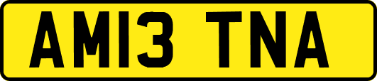 AM13TNA