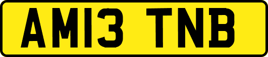 AM13TNB