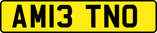 AM13TNO