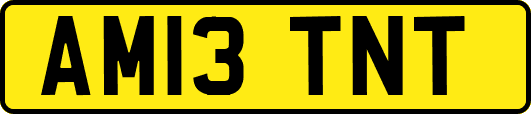 AM13TNT
