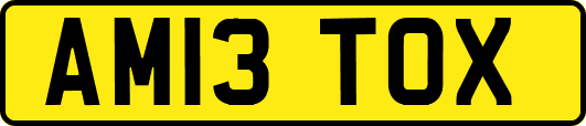 AM13TOX