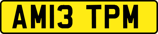 AM13TPM