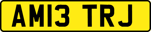 AM13TRJ