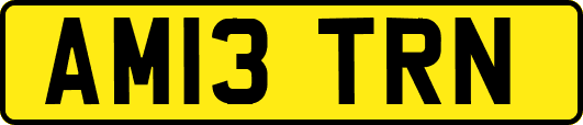 AM13TRN