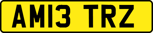 AM13TRZ