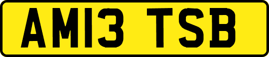 AM13TSB
