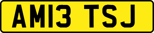 AM13TSJ