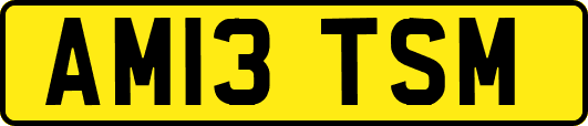 AM13TSM
