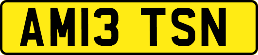 AM13TSN