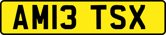 AM13TSX