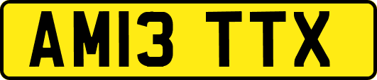 AM13TTX