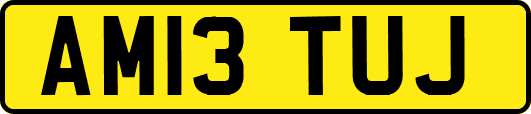 AM13TUJ