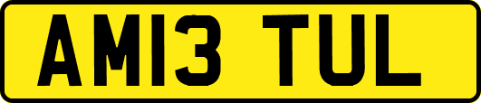 AM13TUL