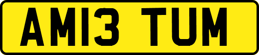 AM13TUM