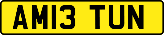 AM13TUN