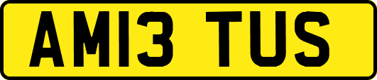 AM13TUS