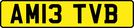 AM13TVB