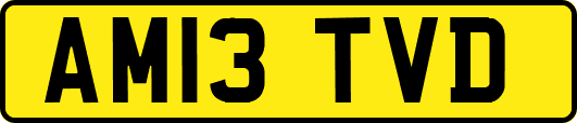 AM13TVD