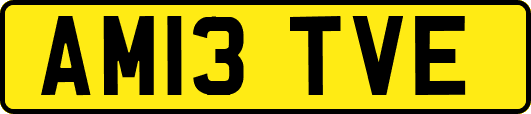 AM13TVE