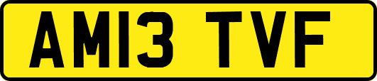 AM13TVF