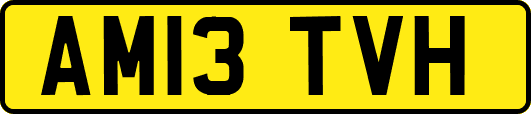 AM13TVH