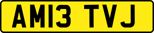 AM13TVJ