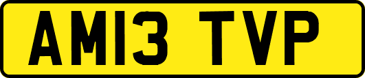 AM13TVP