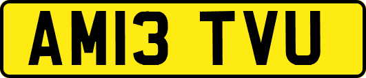 AM13TVU