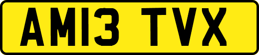 AM13TVX