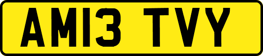 AM13TVY