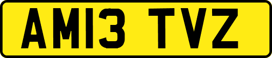AM13TVZ