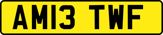 AM13TWF