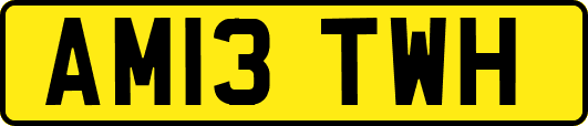 AM13TWH