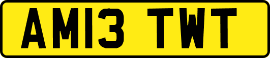 AM13TWT