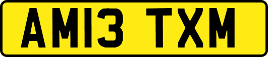 AM13TXM